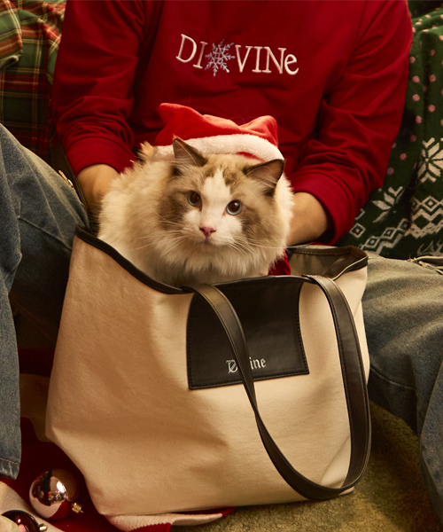 HOME for the HoLIDAYS
